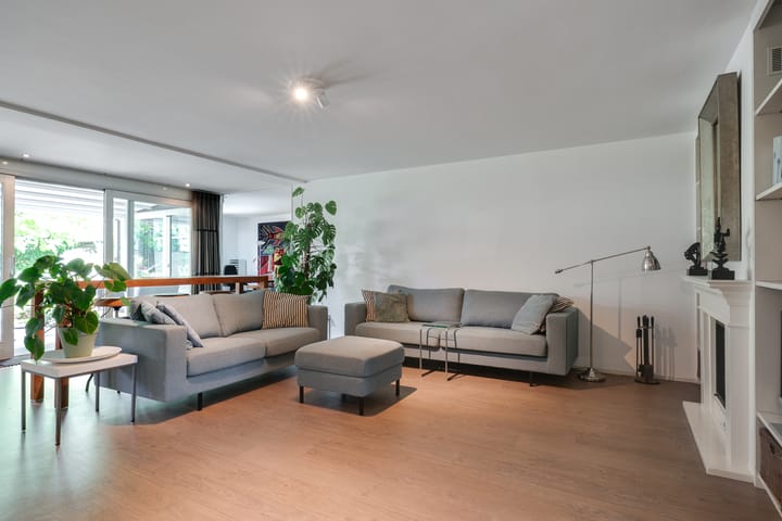 Photo 8 of Zwarte Dolfijn 33