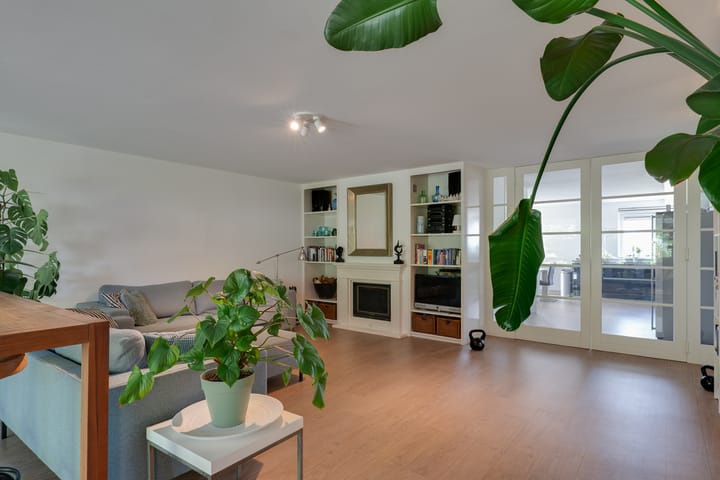 Photo 9 of Zwarte Dolfijn 33