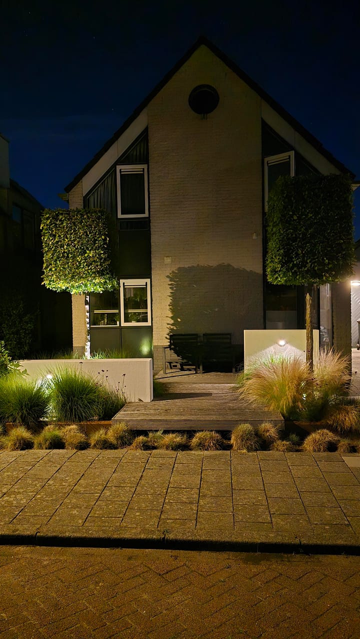 Photo 43 of Zwarte Dolfijn 33