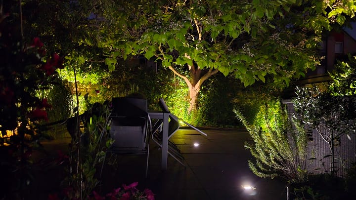 Photo 44 of Zwarte Dolfijn 33