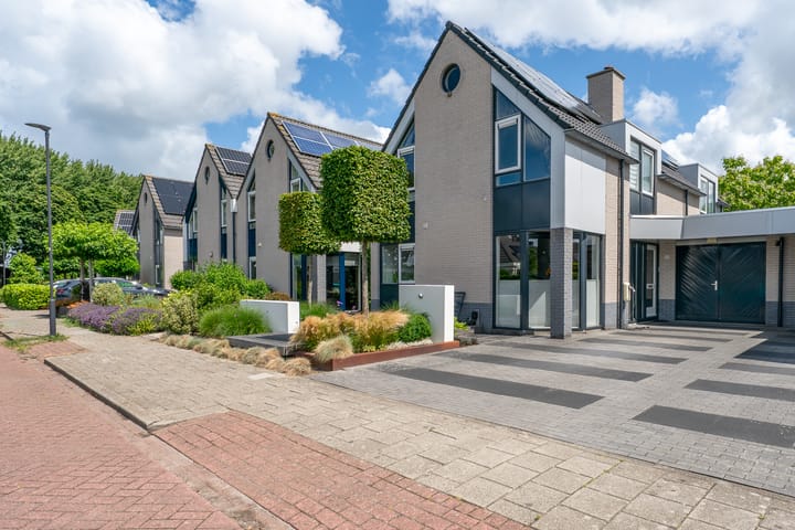 Photo 45 of Zwarte Dolfijn 33