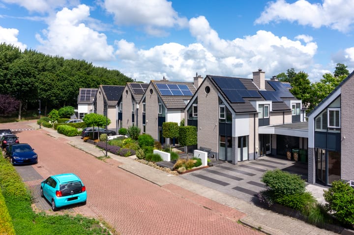 Photo 46 of Zwarte Dolfijn 33