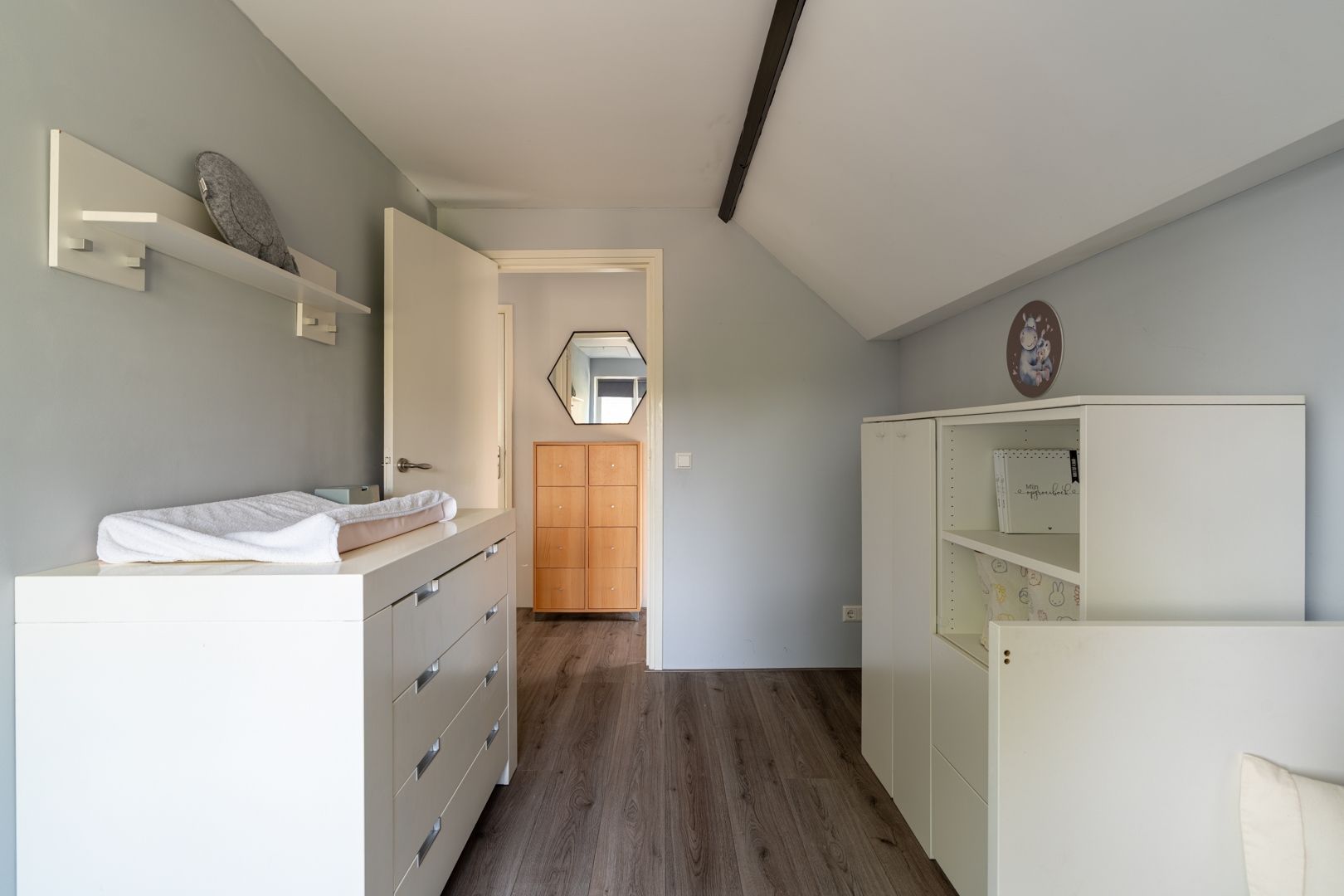 Photo 21 of Nicolaas Hooijkaasstraat 11