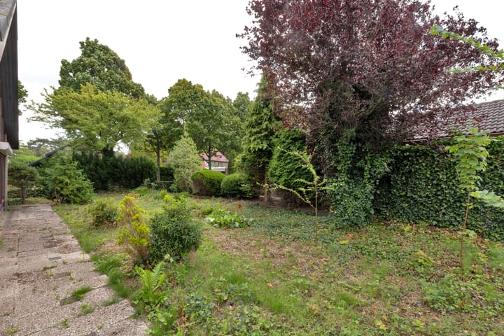 Foto 28 van Meeuwenlaan 6