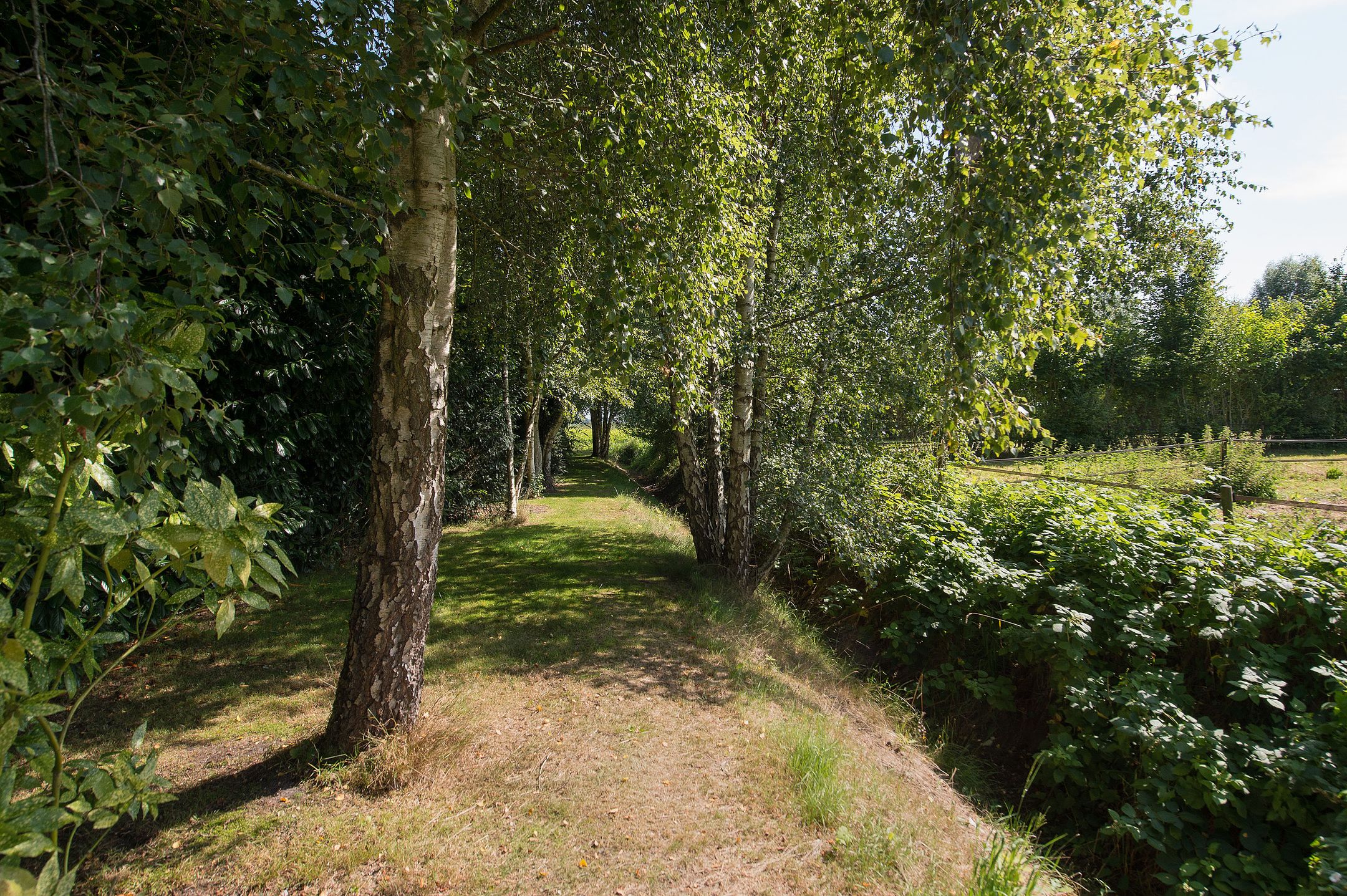 Foto 69 van Hunzeweg 25