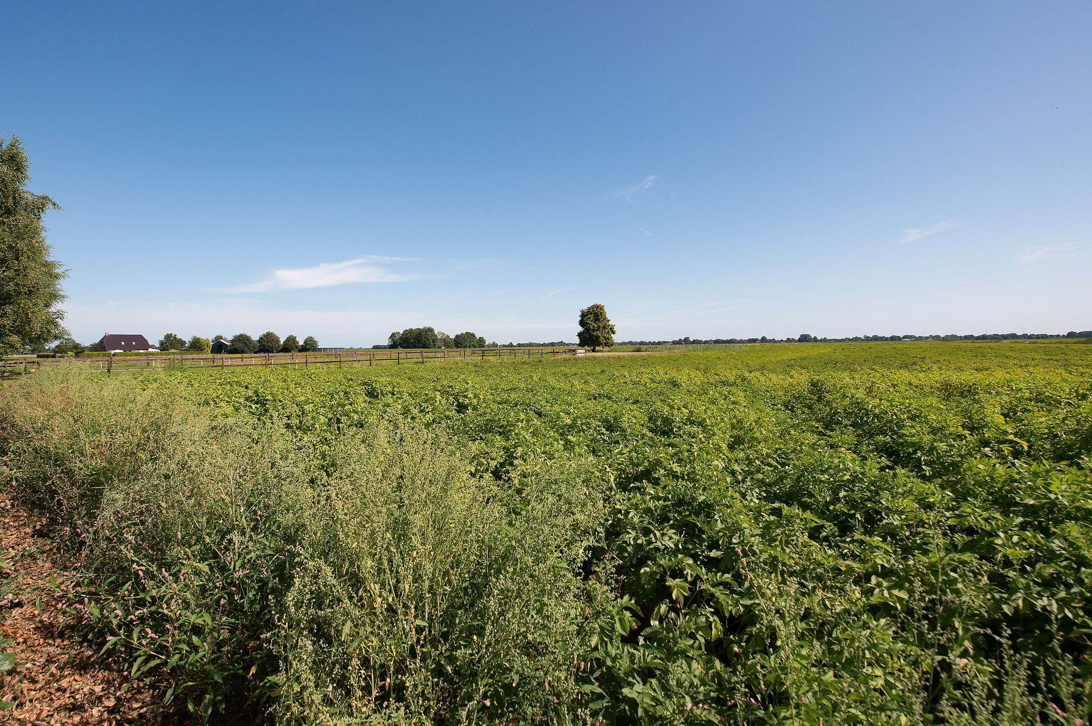 Foto 75 van Hunzeweg 25