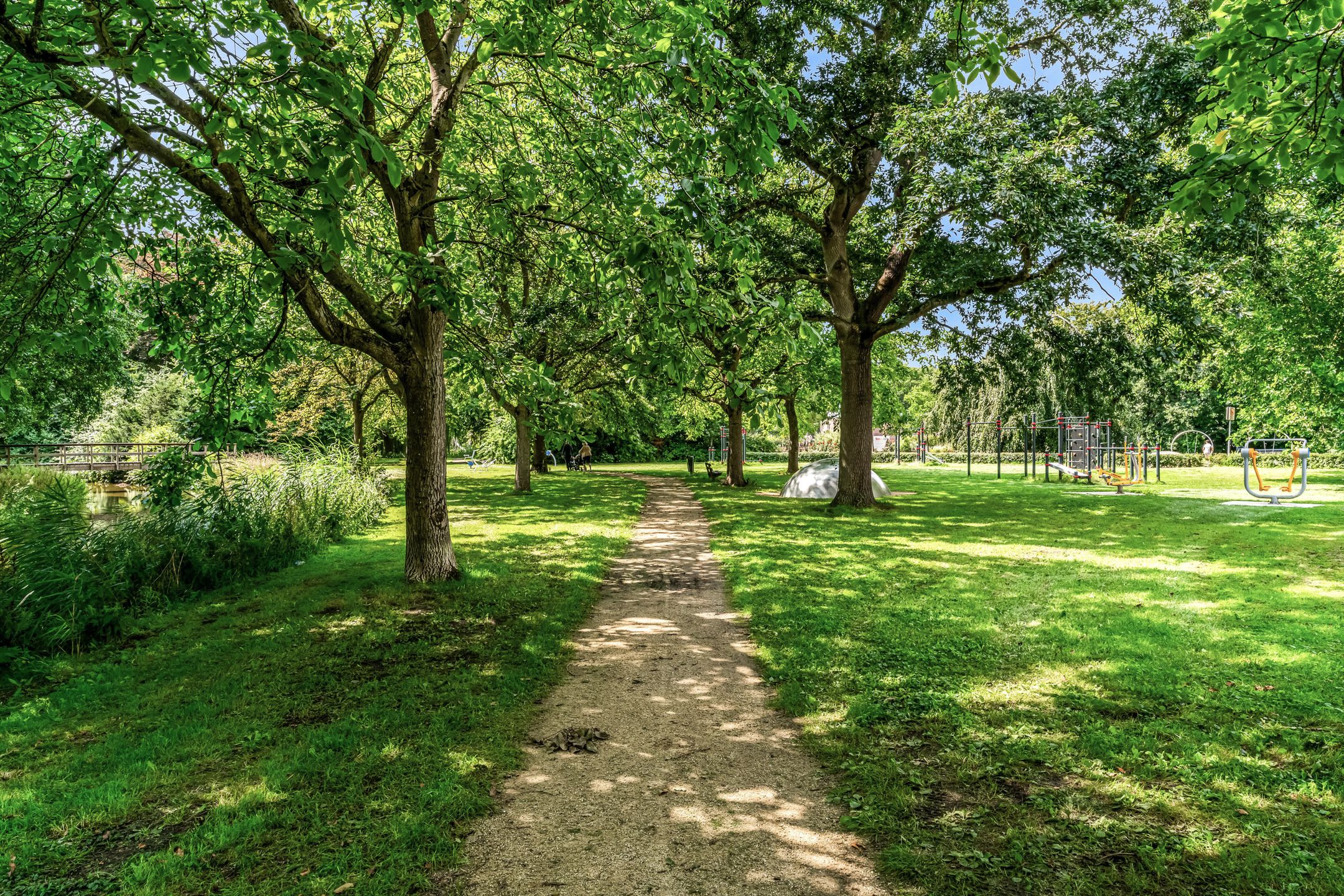 Foto 36 van Papiermolen 50