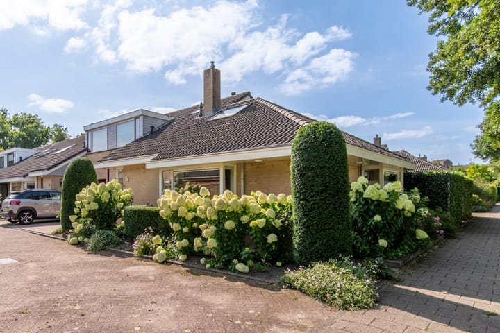 Foto 41 van Vondellaan 36