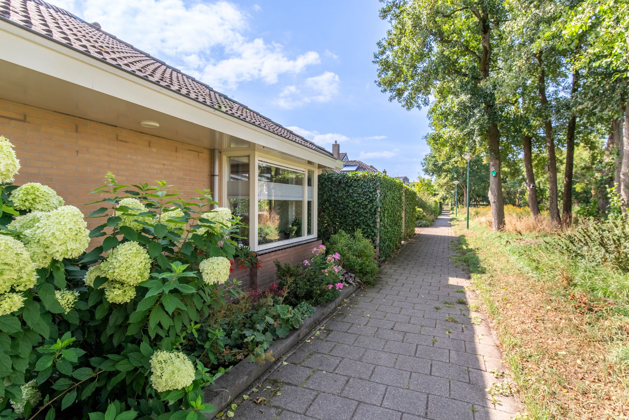 Photo 42 of Vondellaan 36