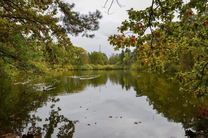 Foto 36 van Patrijslaan 4-H629