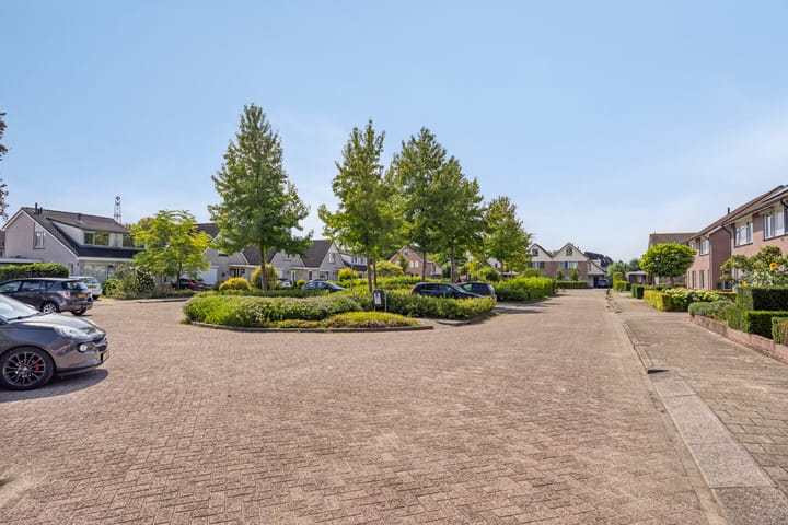 Foto 45 van Teresaplein 19