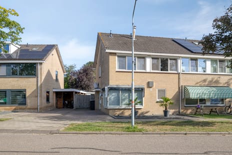 undefined main image