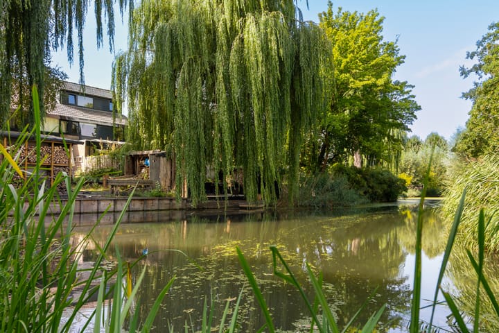 Foto 48 van Zwaluwenburg 13