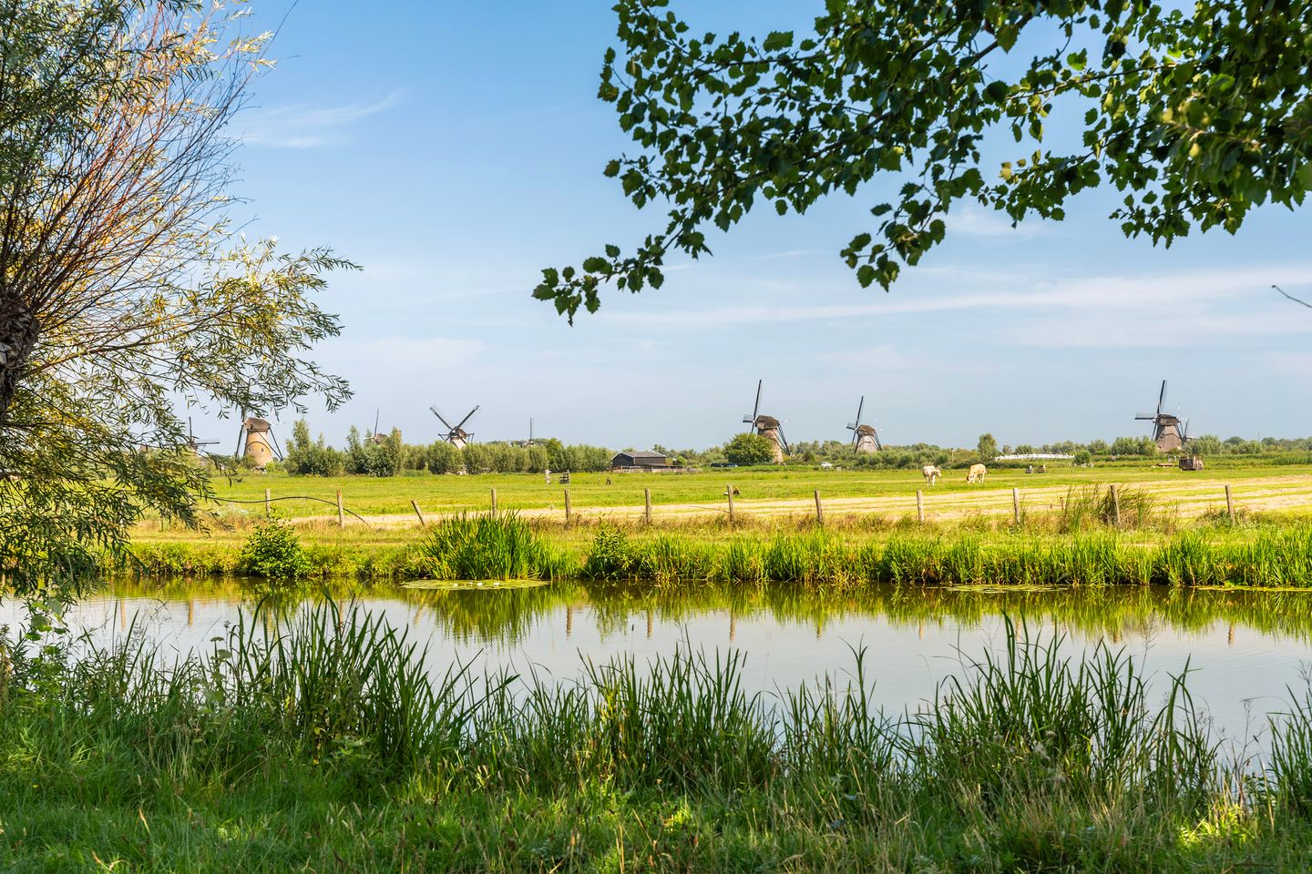 Foto 29 van Rijnstraat 17-A