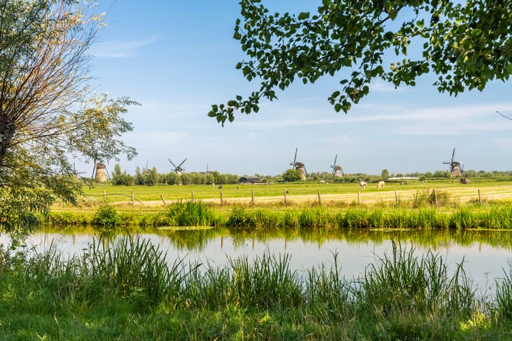 Foto 29 van Rijnstraat 17-A