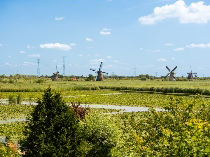 Photo 31 of Pijlstoep 40