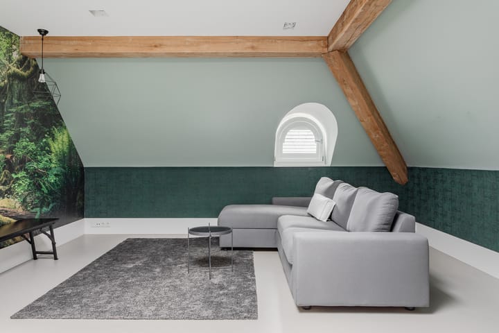 Foto 26 van Karekiet 36