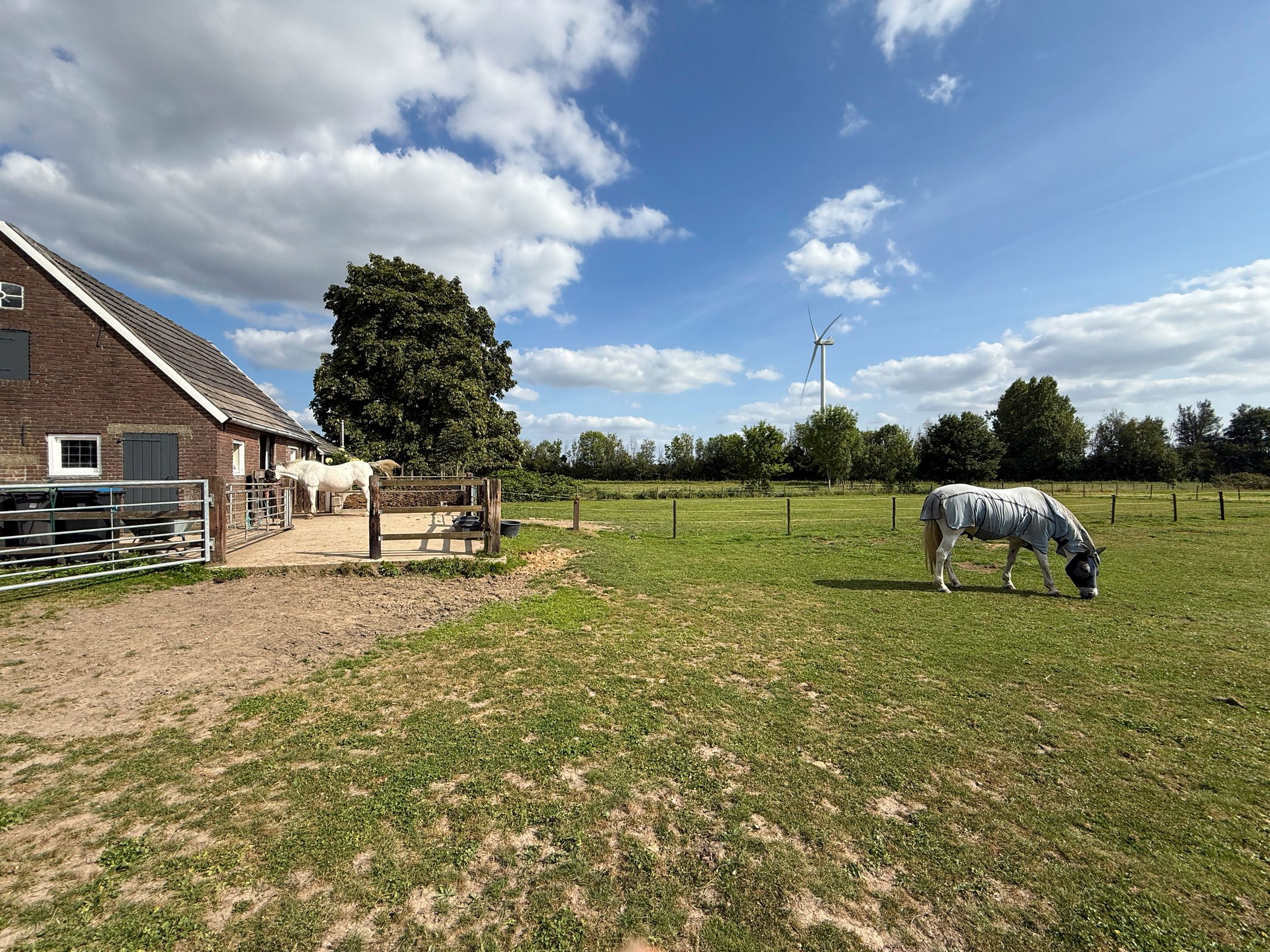 Foto 108 van Broekzijdestraat 1