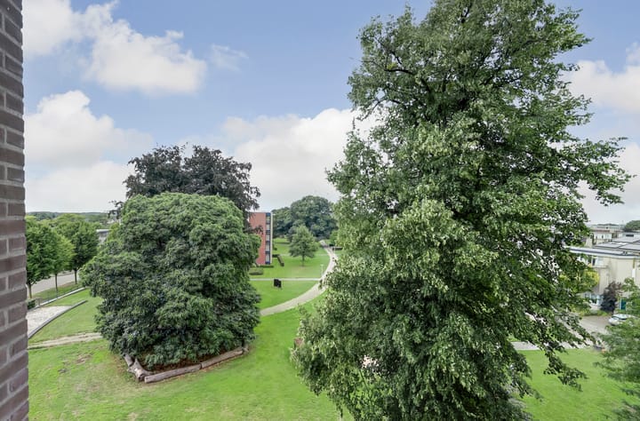 Foto 19 van Rode Kruislaan 50