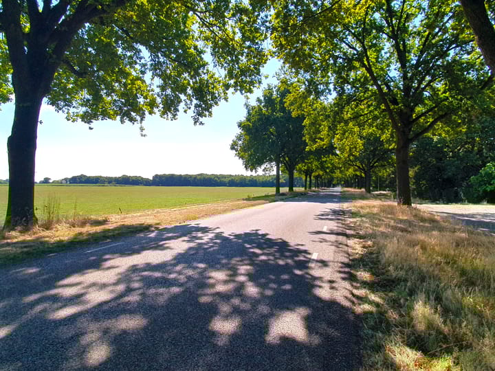 Foto 7 van Grotestraat