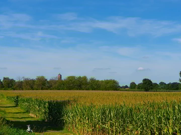 Foto 12 van Grotestraat