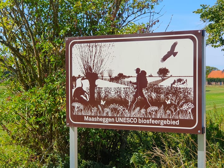 Foto 13 van Grotestraat