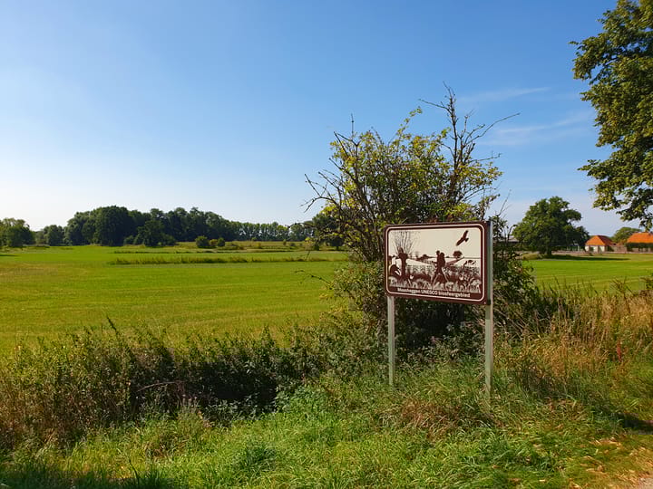 Foto 14 van Grotestraat