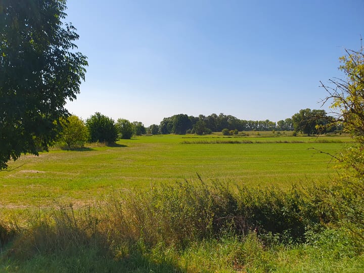 Foto 15 van Grotestraat