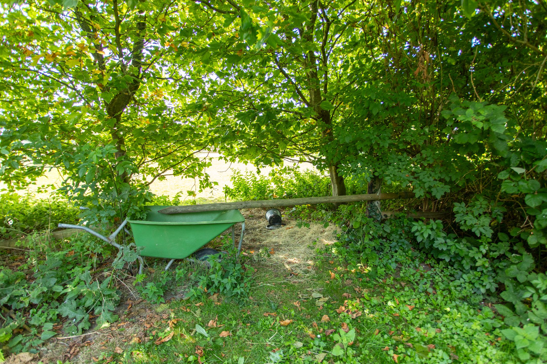 Photo 69 of Zwinweg 22