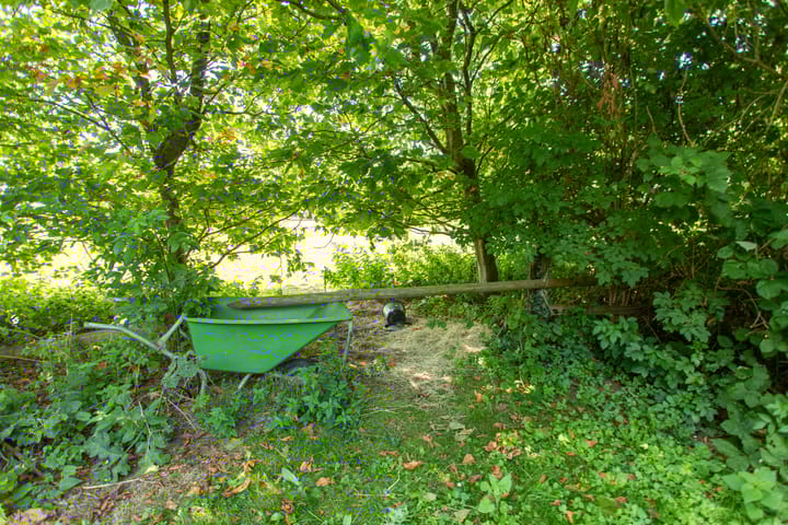 Foto 69 van Zwinweg 22