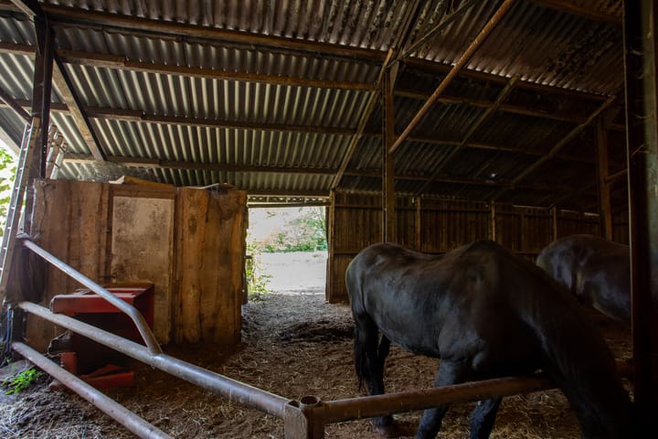 Foto 72 van Zwinweg 22