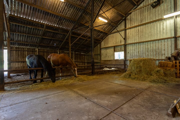 Foto 73 van Zwinweg 22