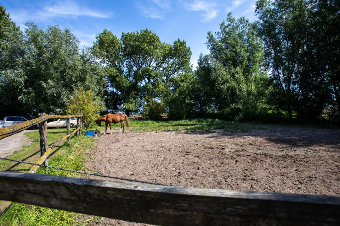 Photo 76 of Zwinweg 22