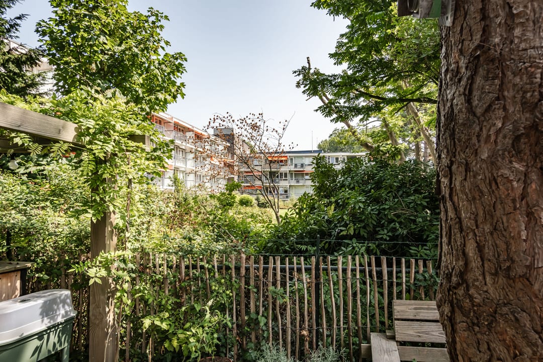 Foto 16 van Bijdorplaan 155