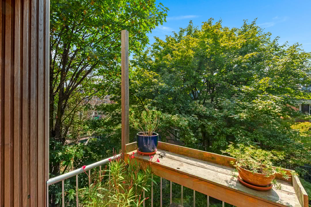 Foto 13 van Commelinstraat 444