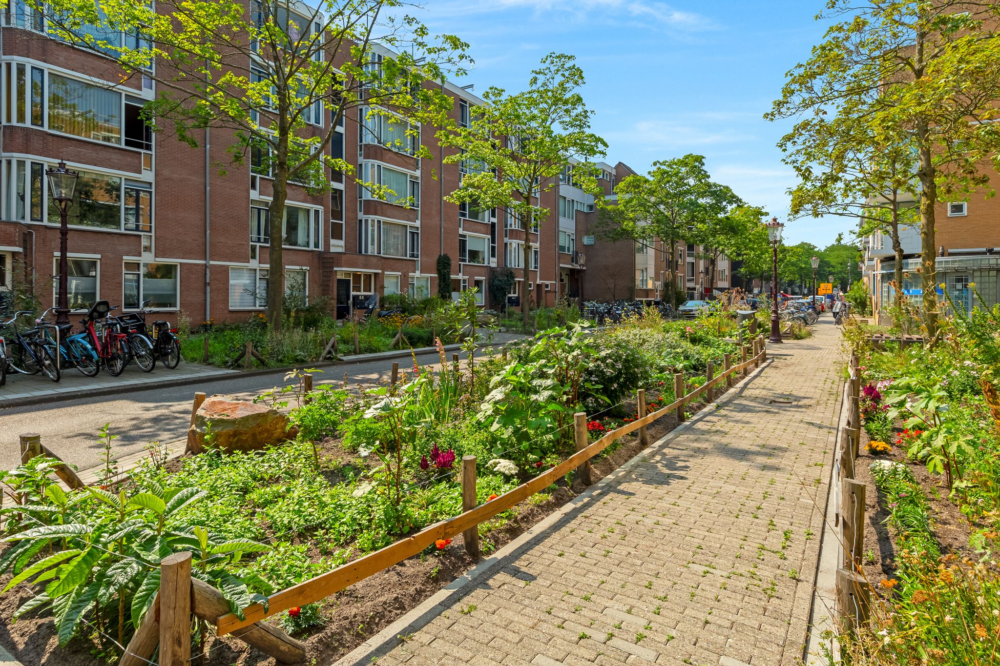 Foto 21 van Commelinstraat 444