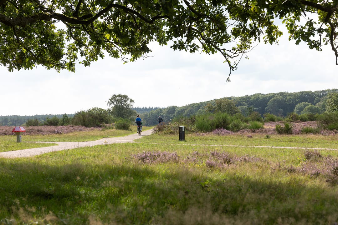 Foto 28 van Karel Doormanlaan 62