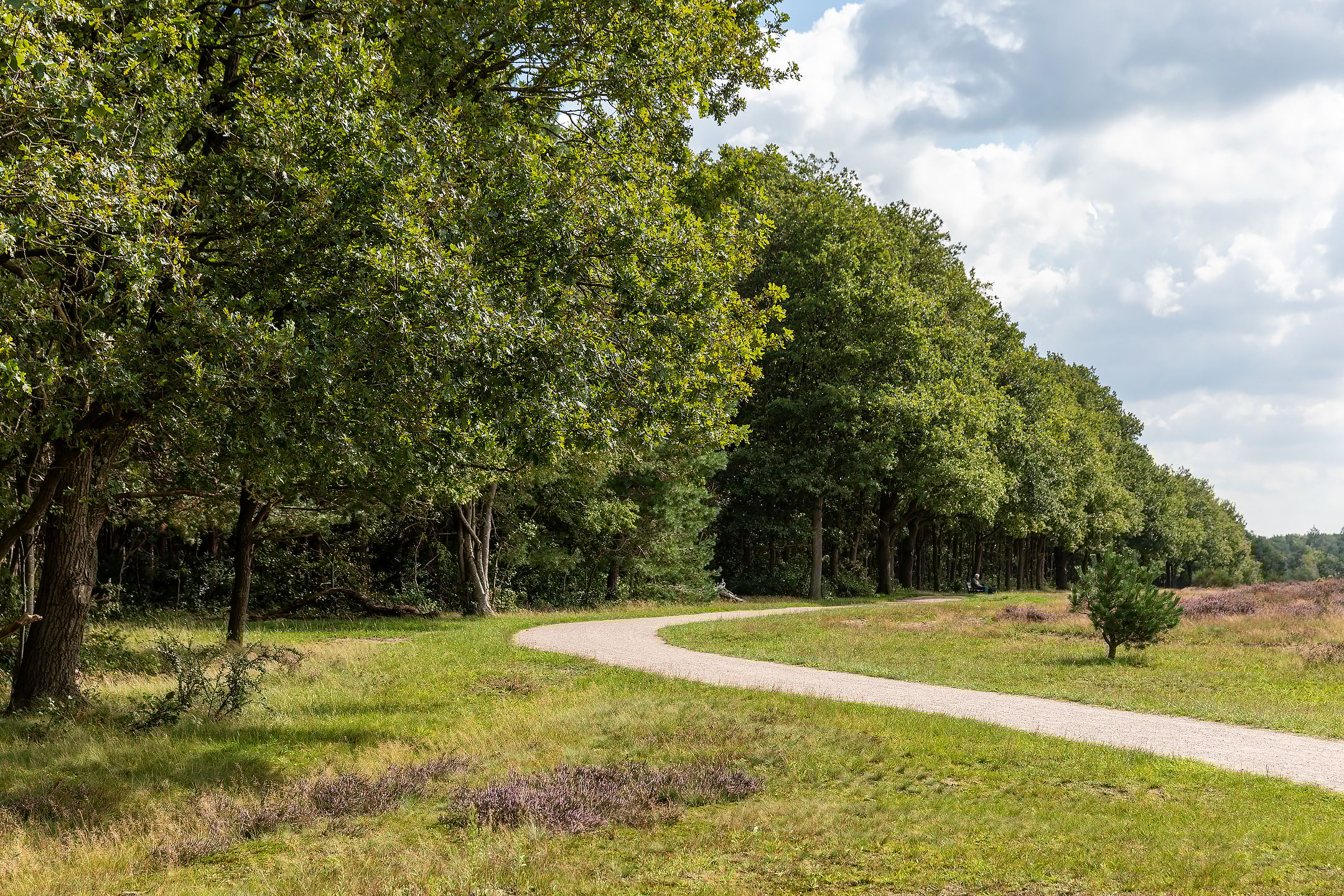 Foto 27 van Karel Doormanlaan 62