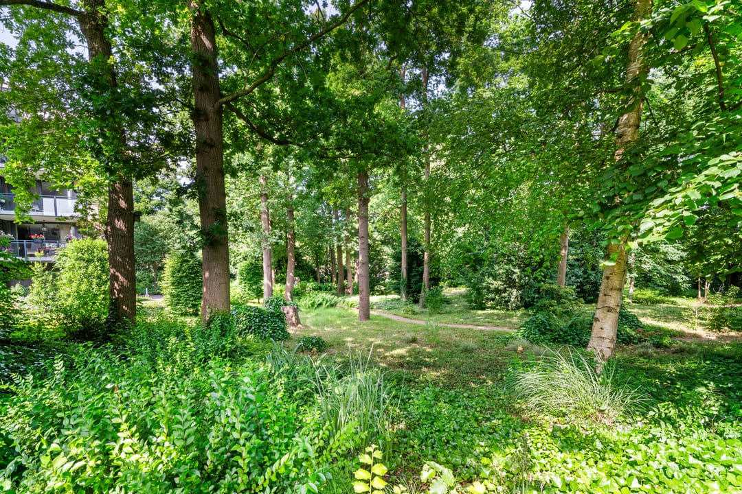 Foto 41 van Mariaplein 51