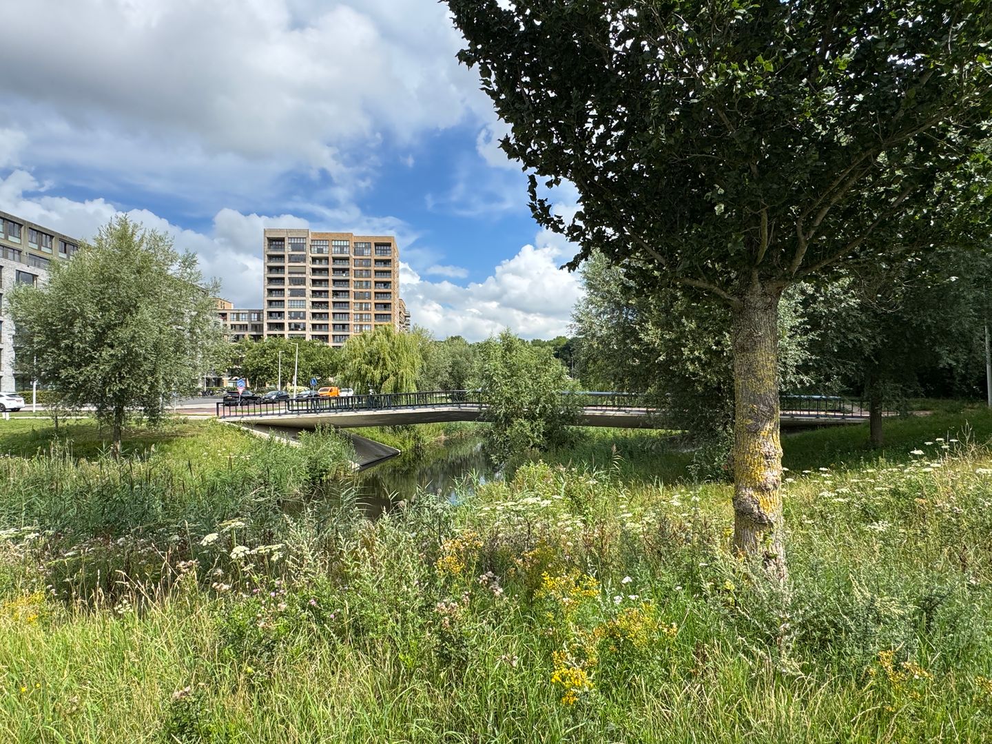 Photo 34 of Andreasplein 100