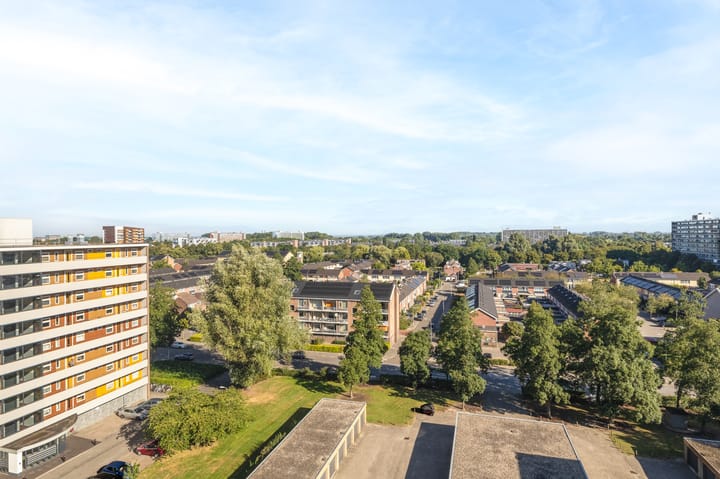 Foto 27 van Monteverdilaan 191