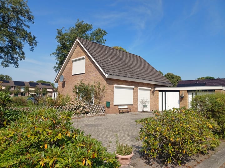 Foto 1 van Vogelvlucht 1