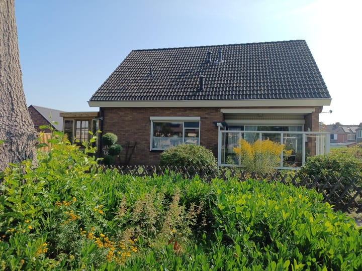 Foto 4 van Vogelvlucht 1