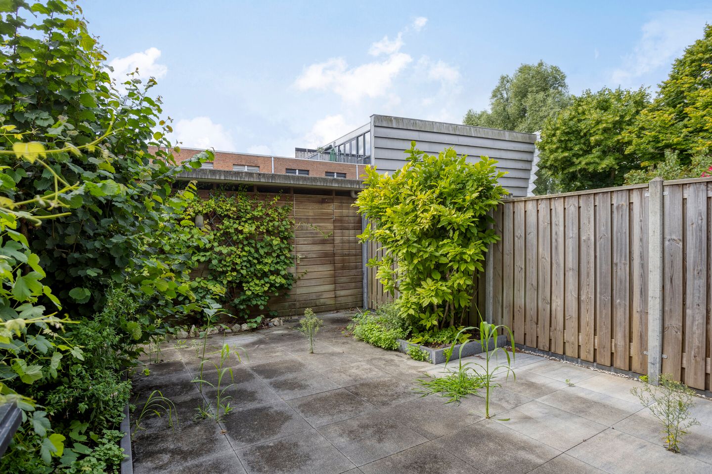 Foto 19 van Wevelgemstraat 33