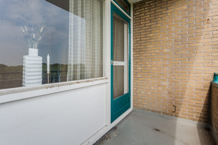 Foto 26 van Spaansgroenstraat 52