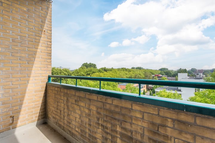 Foto 28 van Spaansgroenstraat 52