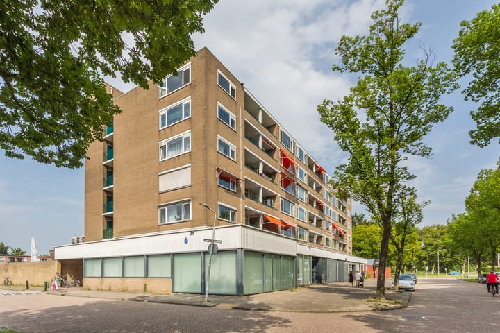 Foto 33 van Spaansgroenstraat 52