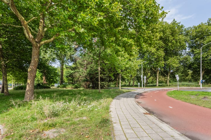 Foto 35 van Spaansgroenstraat 52