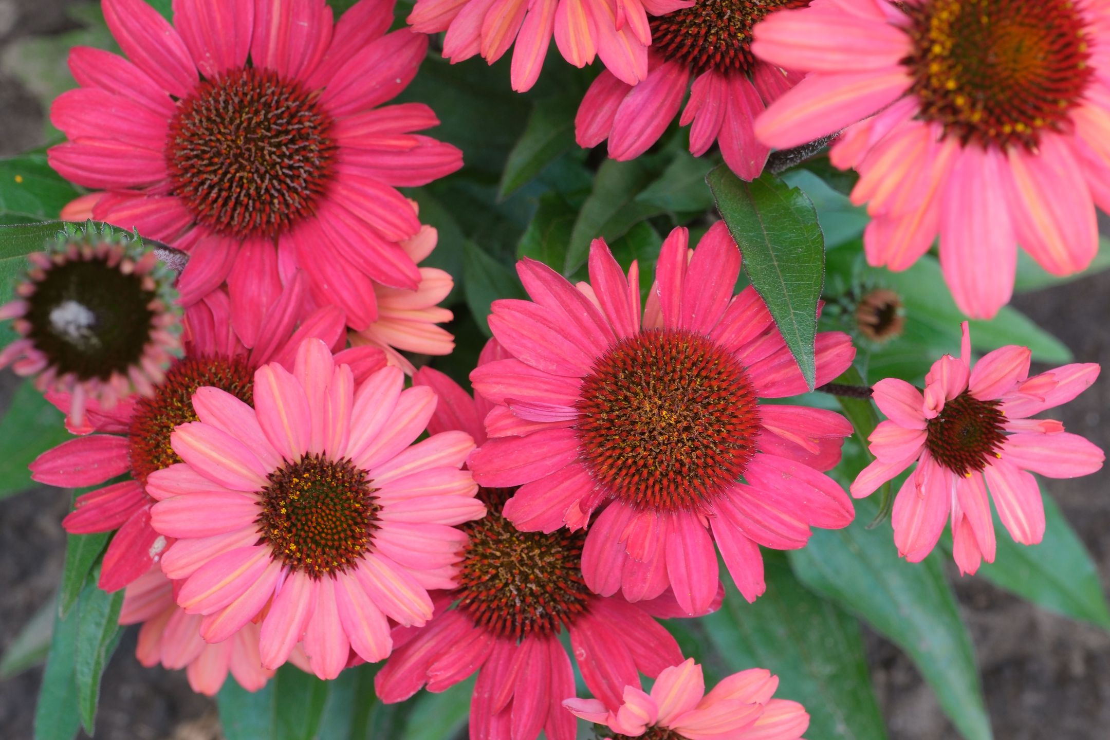 Foto 24 van Mr. G.J. ter Kuilelaan 29