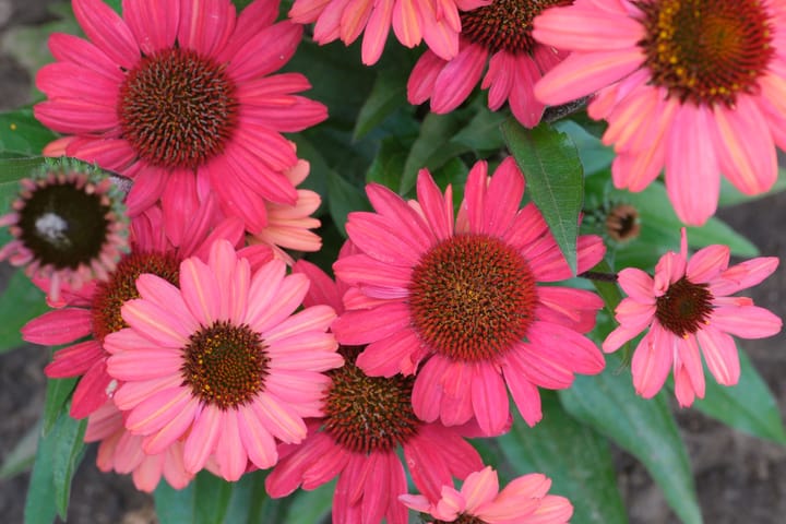 Foto 24 van Mr. G.J. ter Kuilelaan 29